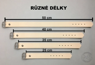 Kožený řemínek s přezkou 2,5 cm